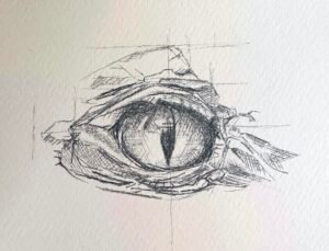 2025.11.01 alligator eye